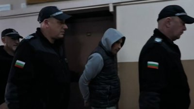 Съдът остави в ареста Тарантулата