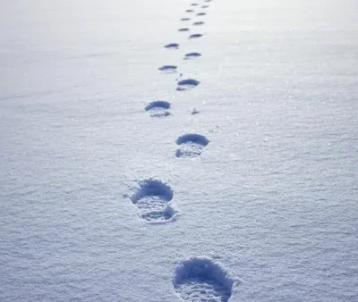 Рекорд: 333 см сняг натрупа на връх Ботев