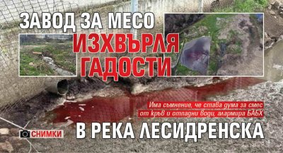 Завод за месо изхвърля гадости в река Лесидренска (СНИМКИ)