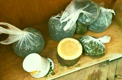 Граничари спипаха наркотици (СНИМКИ)