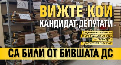Вижте кои кандидат-депутати са били от бившата ДС