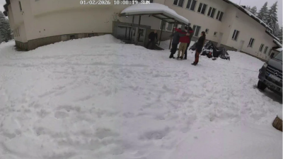 Диана Дамянова хвърли бомба: Записът със самоубийствата от Петрохан е възстановен, Дечев го крие? 