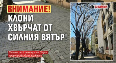 ВНИМАНИЕ! Клони хвърчат от силния вятър! (СНИМКИ)