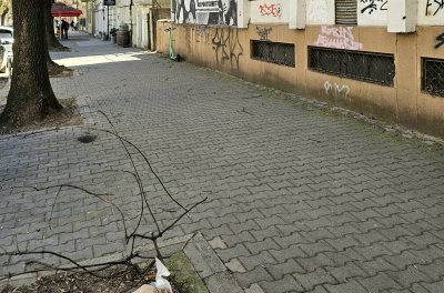 ВНИМАНИЕ! Клони хвърчат от силния вятър! (СНИМКИ)