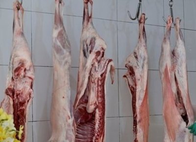 БАБХ издирва 800 заклани агнета