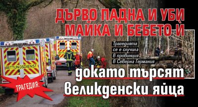 Трагедия: Дърво падна и уби майка и бебето ѝ докато търсят великденски яйца