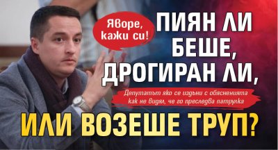 Яворе, кажи си! Пиян ли беше, дрогиран ли, или возеше труп? 