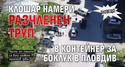 Зловещо: Клошар намери разчленен труп в контейнер за боклук в Пловдив