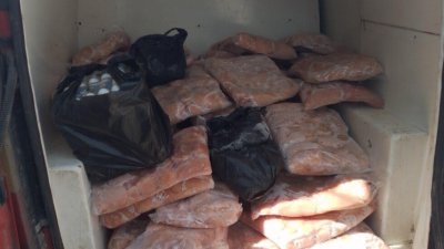 600 кг. храна без документи иззе БАБХ в Свиленград