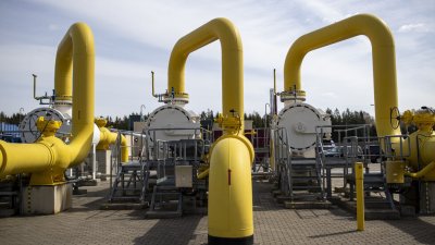 Сърбия издирва мигрант с военно обучение за опита за саботаж на "Балкански поток"