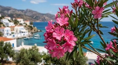 В Гърция изкореняват зокума - бил токсичен