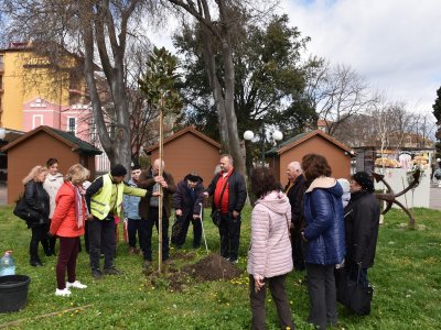 Залесяват Поморие в Седмицата на гората