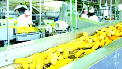 НСИ засече: Производството на храни намалява