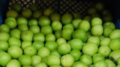 НАГЛОСТ: 45 евро за кило джанки