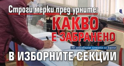 Строги мерки пред урните: Какво е забранено в изборните секции