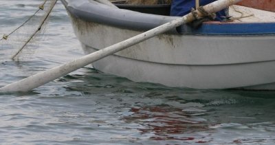 Влиза в сила забраната за риболов