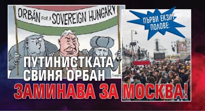 Първи екзит полове: Путинистката свиня Орбан заминава за Москва!