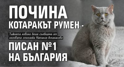 Почина котаракът Румен - писан №1 на България