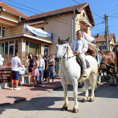 Активист на ГЕРБ затапил с ТИР "Витиня"? 