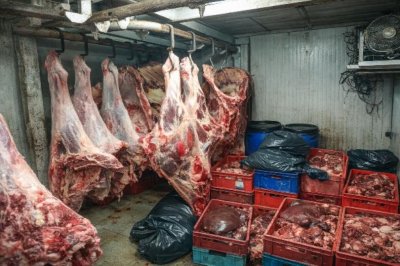 Обвиниха бандит за 20-те тона опасно месо в Дебелец