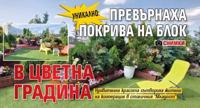 УНИКАЛНО: Превърнаха покрива на блок в цветна градина (СНИМКИ) 