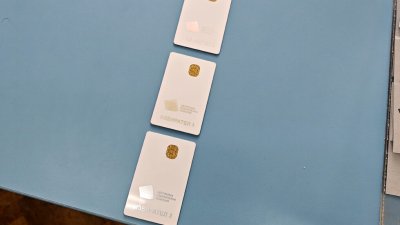 Избирателната активност достигна 45,7% към 20 ч.