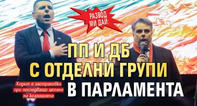 РАЗВОД МИ ДАЙ: ПП и ДБ с отделни групи в парламента
