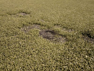 Безхаберие унищожава краката на децата ни (СНИМКИ)