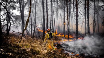 Евакуираха близо 3000 души заради горски пожар в Тоскана
