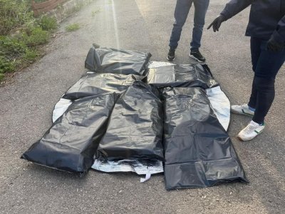 Спипаха над 600 000 евро и дрога в престъпна група