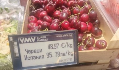 48,97 евро килото: Бах тия череши златни!