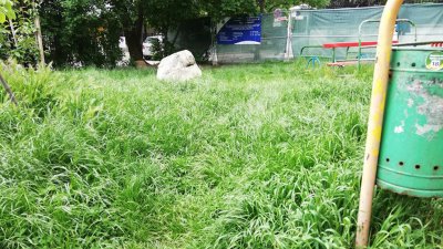 Внимание: Сезонът на кърлежите е, опасността е сериозна