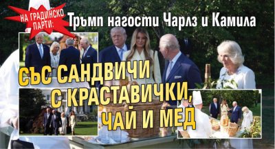 На градинско парти: Тръмп нагости Чарлз и Камила със сандвичи с краставички, чай и мед 