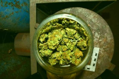 Хванаха дилър с над 1,5 кг марихуана при проверка на пътя