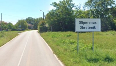 Глутница безстопанствени кучета нападна дете в Обретеник