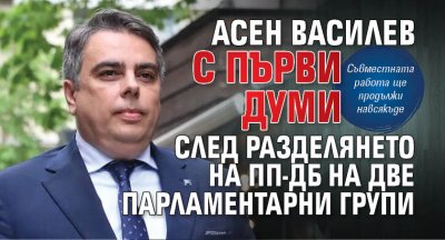 Асен Василев с първи думи след разделянето на ПП-ДБ на две парламентарни групи