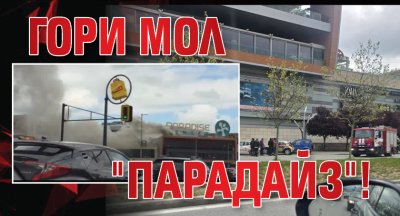 Гори мол "Парадайз"!