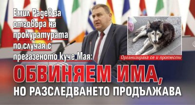 Емил Радев за отговора на прокуратурата по случая с прегазеното куче Мая: Обвиняем има, но разследването продължава