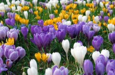 Много слънце обещават синоптиците този уикенд