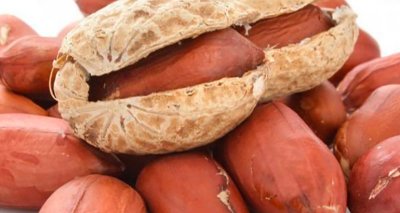 Внимание: Отровни фъстъци от Египет пристигнаха в България