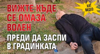 ХИТ ВИДЕО: Вижте къде се омаза Волен преди да заспи в градинката