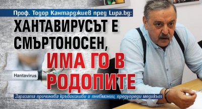 Проф. Тодор Кантарджиев пред Lupa.bg: Хантавирусът е смъртоносен, има го в Родопите