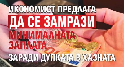 Икономист предлага да се замрази минималната заплата заради дупката в хазната