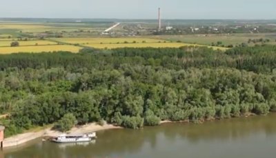 800 000 души са в риск: Комарите превземат дунавските общини заради спряна обществена поръчка