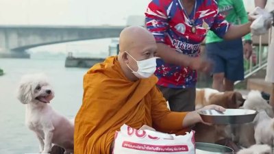 Будистки монах и 12 кучета събират дарения с лодка
