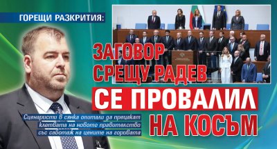 ГОРЕЩИ РАЗКРИТИЯ: Заговор срещу Радев се провалил на косъм