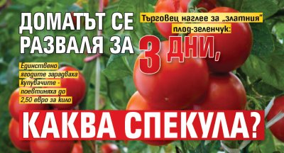Търговец наглее за &bdquo;златния&rdquo; плод-зеленчук: Доматът се разваля за 3 дни, каква спекула?