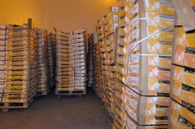 Иззеха близо 40 кг негодни храни от незаконен обект в Сливен