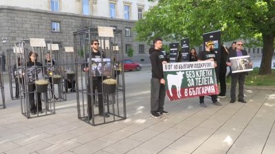 Хора в клетки протестират пред парламента (СНИМКИ)