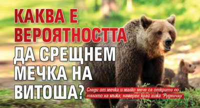 Каква е вероятността да срещнем мечка на Витоша?